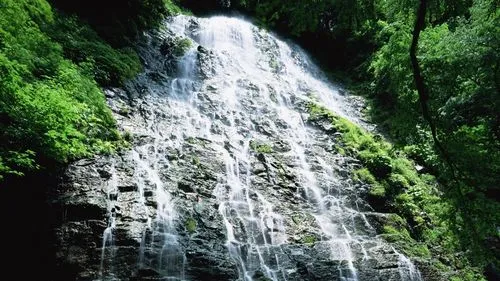 节能节能环保